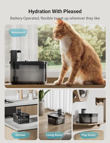 Cat Water Fountain Cordless (Black / Standard)