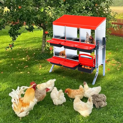 Chicken Nesting Box (Red- 6 compartment with legs)
