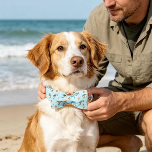 Pet Collars Preppy Sea Turtle Dog Collar with Bow (Turtle / Large (Pack of 1))
