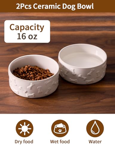 Ceramic Dog Bowl Set of 2 (5.1 in-Small)