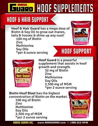 Hoof Supplements for Horses (10 Pounds)