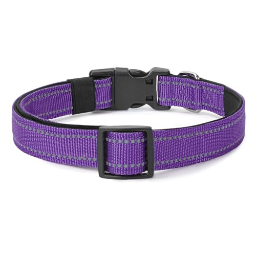 Reflective Dog Collar (Purple / M:width 3/4"neck 14-20.5")
