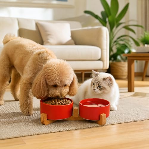 Dog Bowls Ceramic Cat Dog Bowl Set with Wood Stand for Food and Water (Rust Red / 400ML*2)
