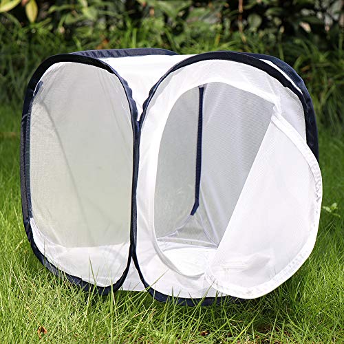 Insect and Butterfly Habitat Cage Terrarium Pop (White With Black / 12 x 12 x 12 inches)