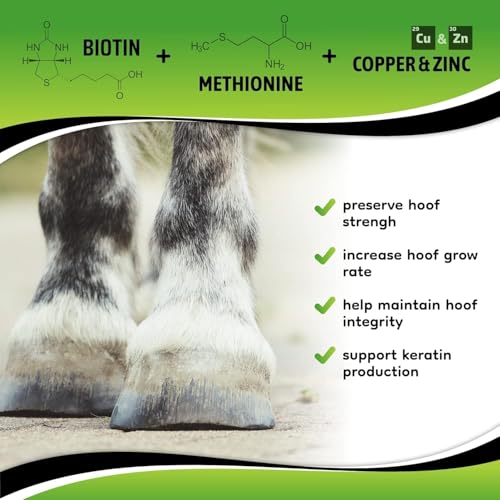 SynoStride Joint & Hoof Supplement for Horses (60 Doses)