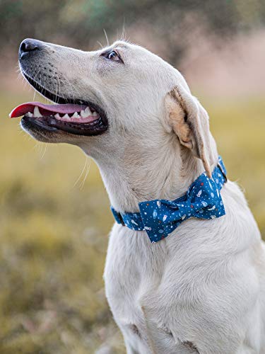 Dog Collar with Bow (Universe / X-Large (Pack of 1))