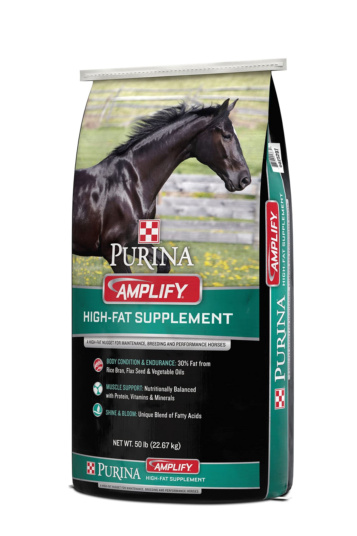 Amplify Equine (One Size)