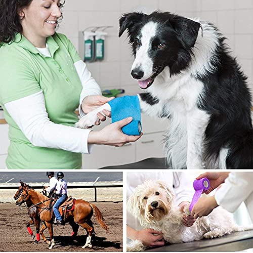 10 Rolls Self Adhesive Vet Wrap (2 Inch x 5 yards)