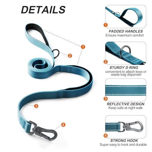5FT 1IN Heavy Duty Dog Leash for Large Dogs with 2 Padded Handles (Blue / 1 in x 5 ft)