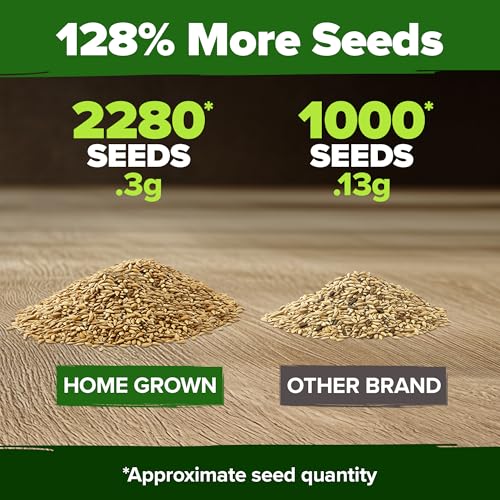 German Chamomile Seeds