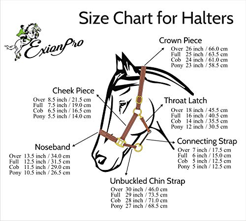 Exion Triple Fancy Stitched Padded Cushioned Leather Horse Halter (Havana/ Choco Brown / Over/ Warm Blood Size)
