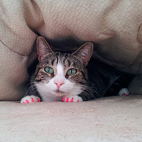 40 Pack Soft Nail Caps for Cat Claws Pink Glitter Kitten (Kitten)