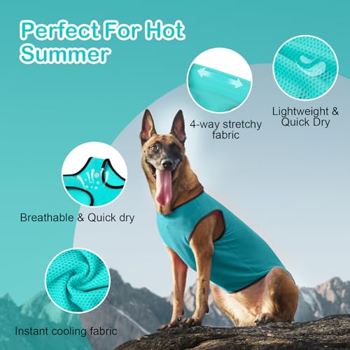 2 Pack Cooling Shirts for Dogs (3XL(chest:20.5"-25") / Lake Blue&Orange)