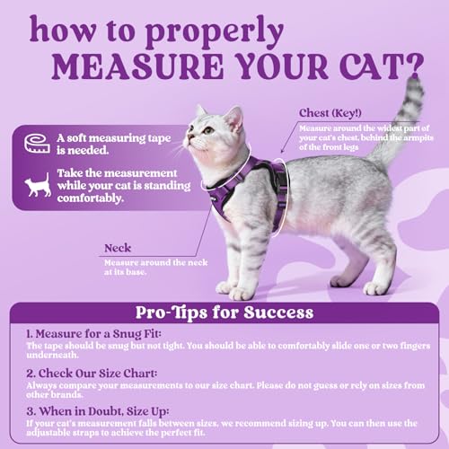 Cat Harness and Leash Set (S / Purple)