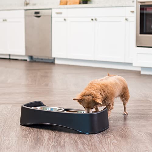 Elevated Dog Bowls (Black)