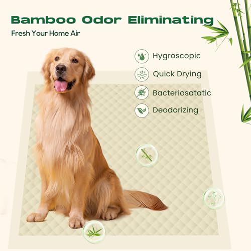 Puppy Pads Pee Pads for Dogs 30"x36" 50 Count with Tabs (30 x 36 inches (50 Count))