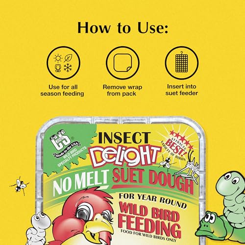 Insect Delight No Melt Suet Dough (1.47 Ounce (Pack of 8) / Insect, 8 Pack)