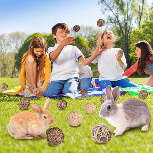 Rabbit & Guinea Pig Toys 16 Pcs Chew Grass Balls Natural Chews for Rodents