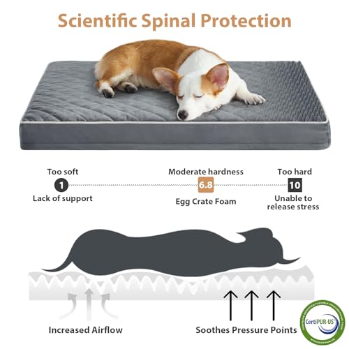 Orthopedic Waterproof Dog Bed Medium for Comfy Sleeping (Grey / 30"L x 20"W x 3"Th)