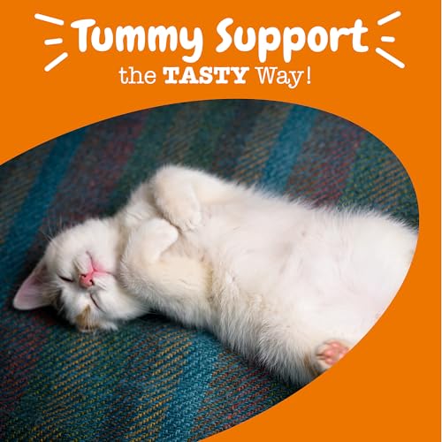 Cat Probiotic Bites (60 Count)