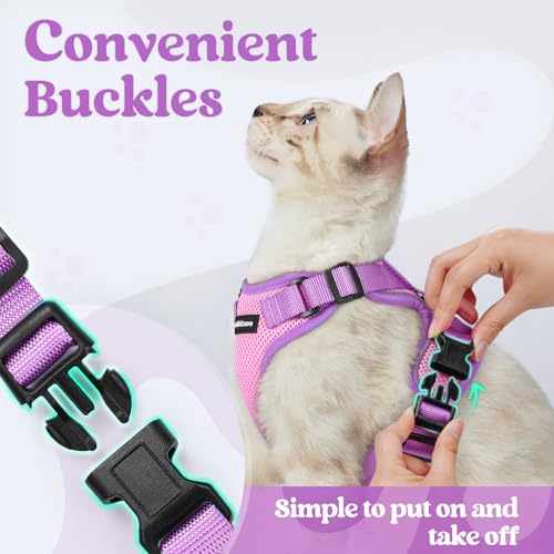 Cat Harness and Leash Set (Pink & Purple / S)