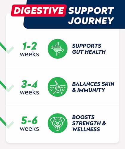 Dog Probiotics Chews for Digestive Health & Gut Support with Yeast and Enzymes (Probiotic Chews / 180Ct (Bacon))