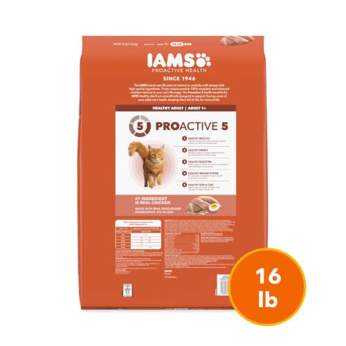 Proactive Health Healthy Adult Dry Cat Food (16 Pound (Pack of 1))