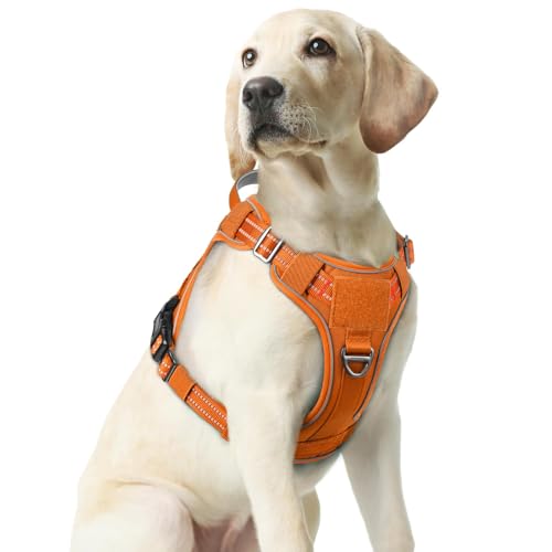 Tactical Dog Harness Medium Sized (M(chest:20.1"-33.9",neck:17.7"-22.3",back:7.5") / Orange)