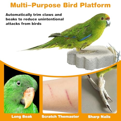 4 PCS Bird Perches Calcium Parrot Perch Stand Bird Beak Grinding Stone Foot Claws Trimmer Parrot Chewing Toys Bird Cage Accessories for Budgie Cockatiel Conure Lovebird Finch