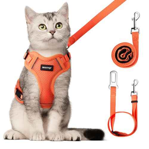 Cat Harness and Leash for Walking Escape Proof Soft Adjustable Cat Leash Breathable Comfortable Vest Easy to Wear Kitten Harness for Outdoor Travel (Orange / Medium)