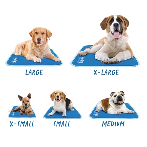 Cool Pet Pad Extra Small (X-Small / Blue)