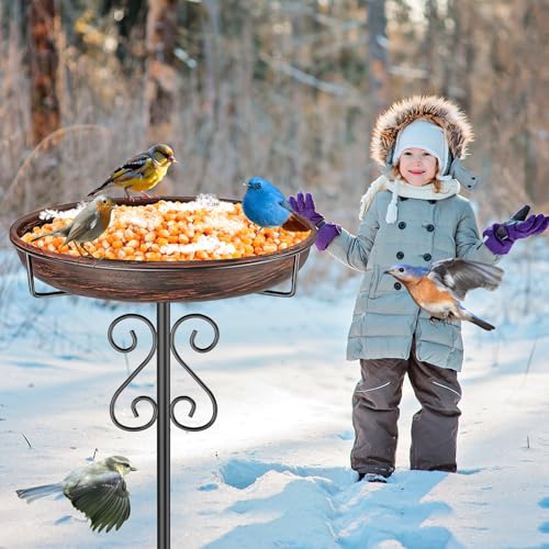 Bird Bath for Outside (Vintage Bronze)