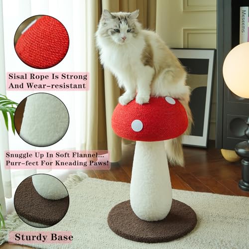 Whimsical Mushroom Scratcher (Red / Medium)