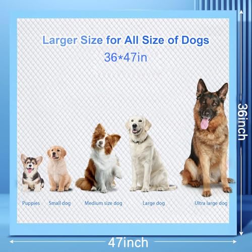 XXXXL Puppy Pee Pads for Dogs 36"x47" 30 Count