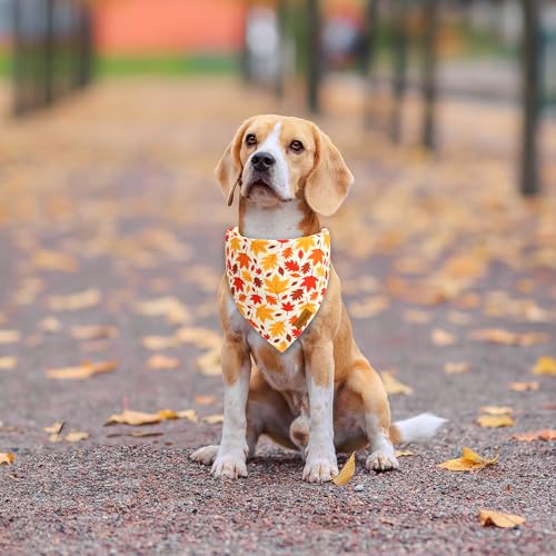 Fall Dog Bandanas (Small / Fall-Black, Yellow)