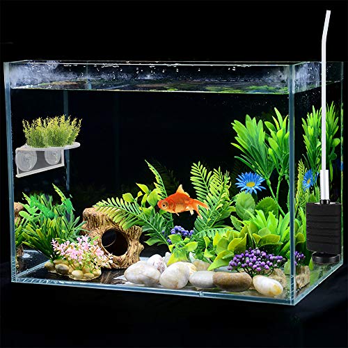 2Pack Aquarium Shelf