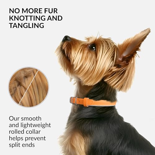Tangle Free Reflective Leather Dog Collar (Orange / XS)