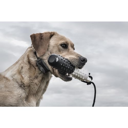FieldTrainer 425X Remote Trainer (Gun Metal Grey / 1 Dog)
