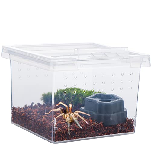 10 Pack Small Size Spider Terrariums Breeding Box Hatching Container Insect Scorpion Centipede Acrylic Breeding Box