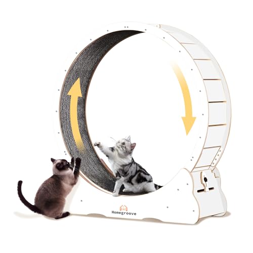 Cat Running Wheel (XL / White)