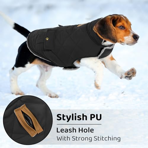 Waterproof Dog Winter Coat Warm Puffer Jacket Cold Weather Vest (Medium / Black)