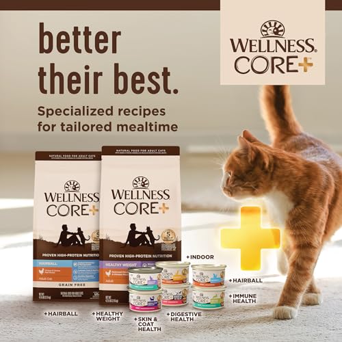 CORE+ Digestive Health Pate Variety Pack Adult Canned Wet Cat Food (3 Ounce (Pack of 12))