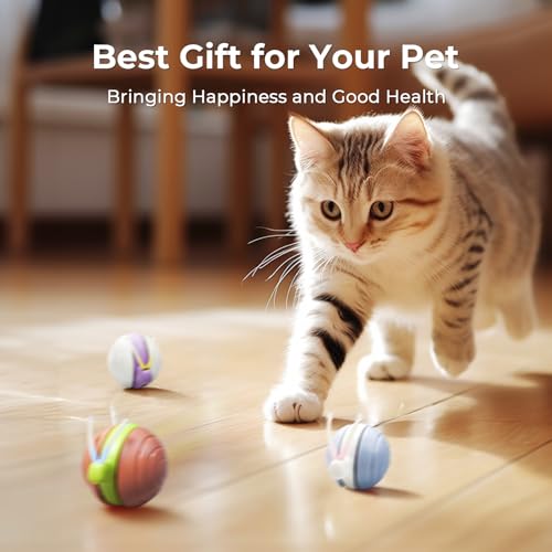 Interactive Cat Toy for Indoor Cats (Blue)