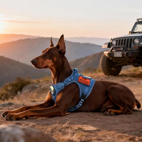 Tactical Dog Harness for Large Dogs (Xl(chest:23.6"-41.8",neck:21.7"-32.3",back:9.1") / Blue)
