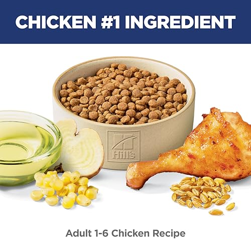 Adult 1 6 Dry Cat Food (16 Pound (Pack of 1))