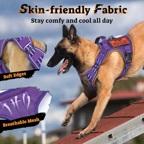 Tactical Dog Harness for Large Dogs (L(Chest:22"-37",Neck:21.1"-30.3",Back:8.3") / Purple)