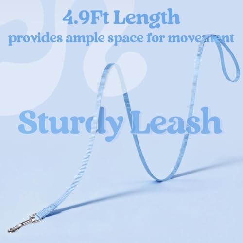 Cat Harness and Leash Set (S / Light Blue)