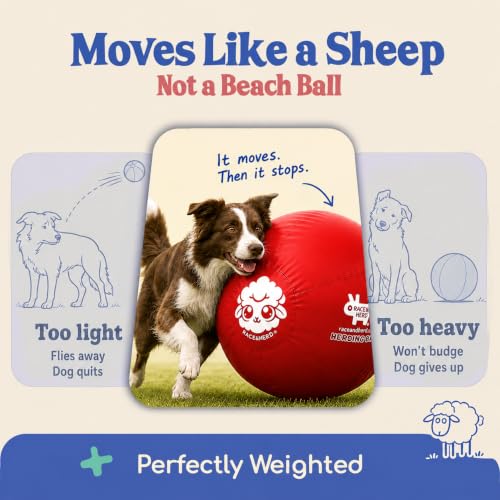 22" Original Herding Ball for Dogs (Cherry - M 22" Herding Ball Set / M 22")