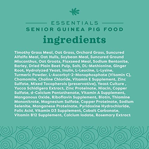 Essentials Senior Guinea Pig Food (4 Pound (Pack of 1))