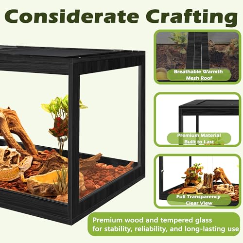 35 Gallon Bearded Dragon Tank (Black / 35 Gallon (32x15.5x15.5 Inch))